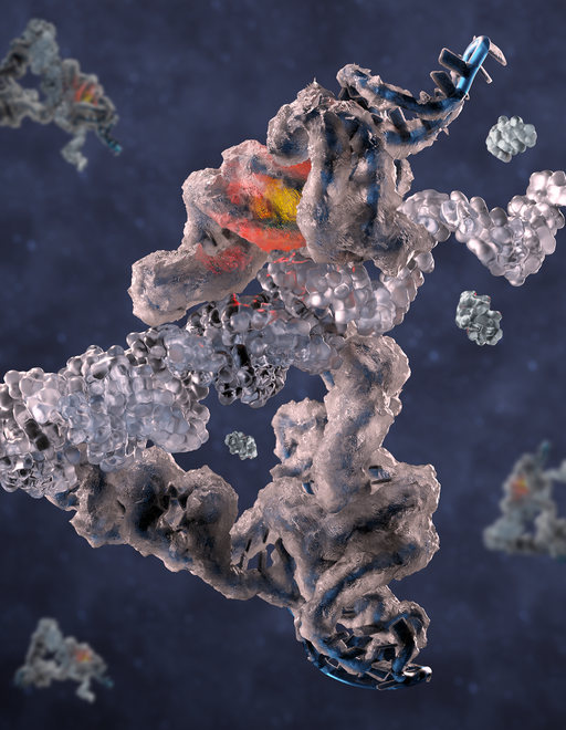 The picture shows an RNA polymerase ribozyme thought to be implicated in the origin of life. The ribozyme is shown frozen in ice to symbolize how it was frozen in time for imaging and how it works best under ice-cold conditions. The active site is highlighted by a yellow/red light and the proposed position of the template-product helix is shown in transparent. Image credit: Rune Kidmose.