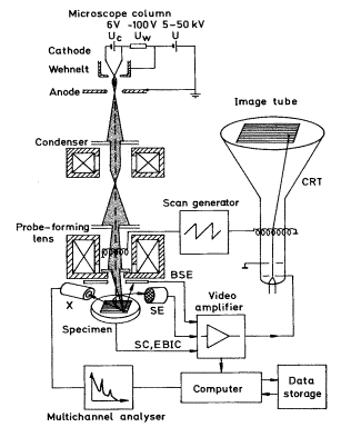 Figure2. A Schematic presentation of a scanning electron microscope.