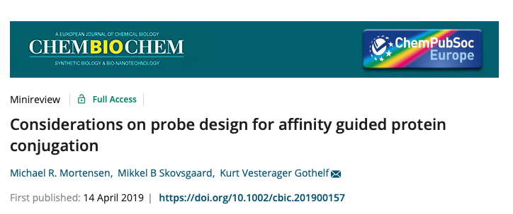 Screenshot from the article "Considerations on probe design for affinity guided protein conjugation" published in ChemBioChem