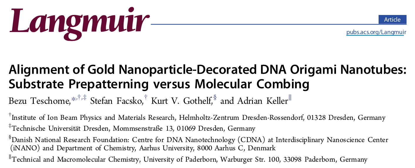 Screenshot of the article "Alignment of gold nanoparticle-decorated DNA origami nanotubes - substrate prepatterning versus molecular combing" published in the Langmuir journal