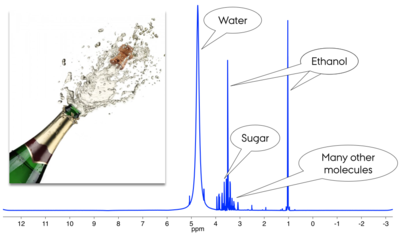 Champagne bottle and NMR spectrum og Champagne