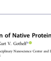 Screenshot of the article "Site-selective conjugation of native proteins with DNA" published in Accounts of chemical research