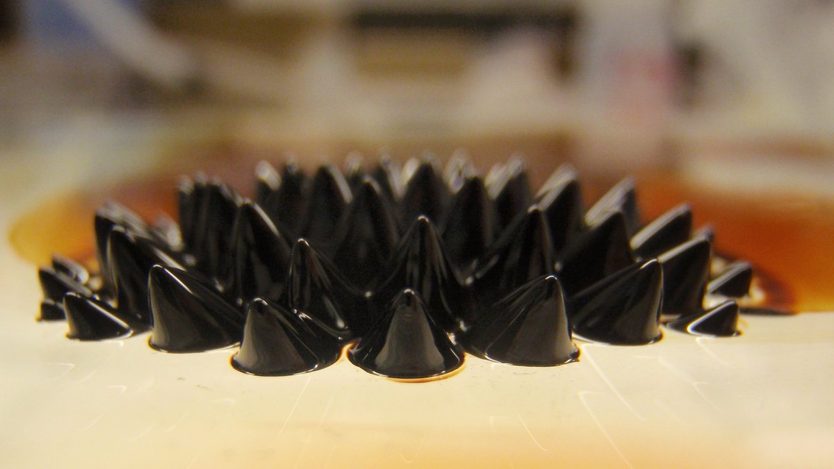 Ferrofluid er en væske, der indeholder meget små ferromagnetiske partikler (magnetit). Disse partikler er kun nogle få nanometer i størrelse (0,000001 mm). Foto: Aarhus Universitet