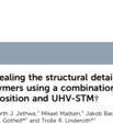 Screenshot of the article "Revealing the structural detail of individual polymers using a combination of electrospray deposition and UHV-STM" published in ChemComm