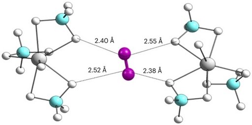 Figure B: The very tight packing of hydrogen is due to hydrogen forming a new type of bond with the nanoporous magnesium borohydride, called a hexa-hydrogen bond. Illustr: Nature Chemistry (6 February 2024)