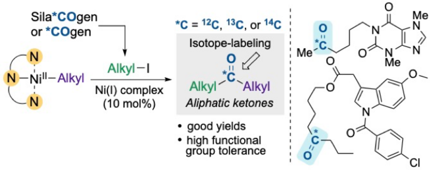 New technique for isotope labeling with CO2 by Troels Skrydstrups research team published in Angewandte Chemie Int. Ed. (Graphics: Troels Skrydstrup)