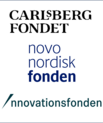 Grants for iNANO researchers from the Carlsberg Foundation, the Novo Nordisk Foundation and Innovation Fund Denmark.