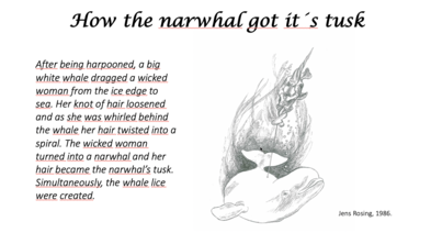 The Greenlandic legend of how the narwhal got its tusk. From "The Unicorn of the Arctic Sea," by Jens Rosing, 1986.