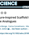 Screenshot of the article "Nucleic Acids as a Nature?Inspired Scaffold for Macromolecular Prodrugs of Nucleoside Analogues"'s title from the journal website