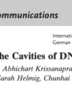 Screenshot of the article "Docking of Antibodies into the cavities of DNA origami structures" published in Angewandte Chemie International Edition