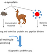 At the CytoPad centre, researchers will use advanced immunization techniques to produce antibodies from mice and llamas. Click on the graphic to see it full size. Graphic: Daniel Otzen
