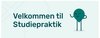 Studiepraktik.nu
