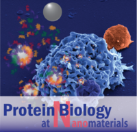 Picture of protein biology
