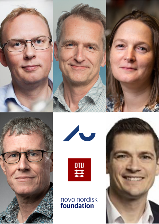 Professor Jeppe Vang Lauritsen, Professor Kim Daasbjerg (Department of Chemistry, AU), Liv Hornekær (Department of Physics and Astronomy, AU), Senior Researcher Morten Foss (iNANO) and Professor Jakob Kibsgaard (DTU) will establish of new research infrastructure with grant from the Novo Nordisk Foundation.