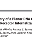 Screenshot of the article "Intracellular delivery of a planar DNA origami structure by the transferrin-receptor internalization pathway" published in Small