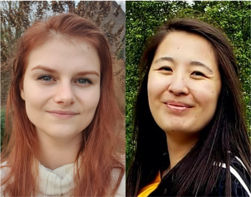 PhD students, Minke Nijenhuis and Emily Tsang, at Aarhus University have created an artwork out of folded paper, which is featured on the cover of Advanced Materials.