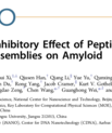 Screenshot of the article "Synergistic inhibitory effect of peptide-organic coassemblies on amyloid aggregation" published in ACS Nano