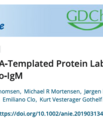 Screenshot of the article Peptide?Directed DNA?Templated Protein Labelling for The Assembly of a Pseudo?IgM published in Angewandte Chemie International Edition