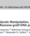 Screenshot of the article "Preparation, single-molecule manipulation, and energy transfer investigation of a polyfluorenen-graft-DNA polymer" published in Chemistry A European Journal