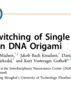 Screenshot from the article "Programmed switching of single polymer conformation on DNA origami" published in ACS Nano