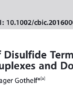 Screenshot from the article "Dynamic chemistry of Disulfide terminated oligonucleotides in duplexes and double-crossover tiles" published in ChemBioChem