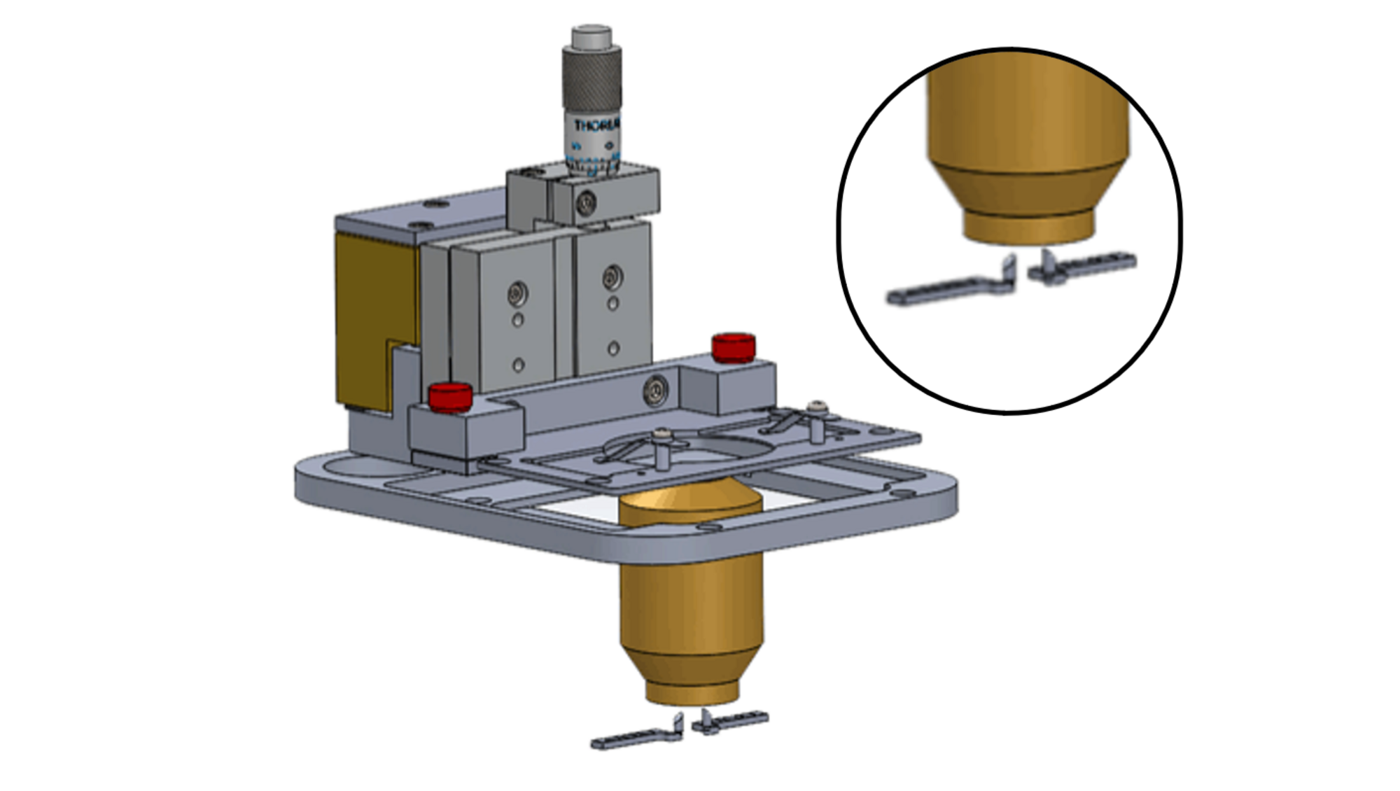 The micromirrors are placed below the objective