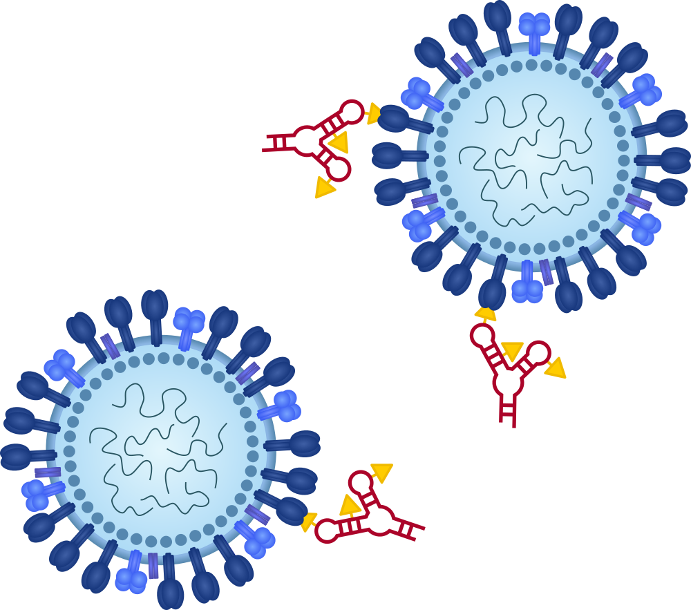 CellAProteinTargeting