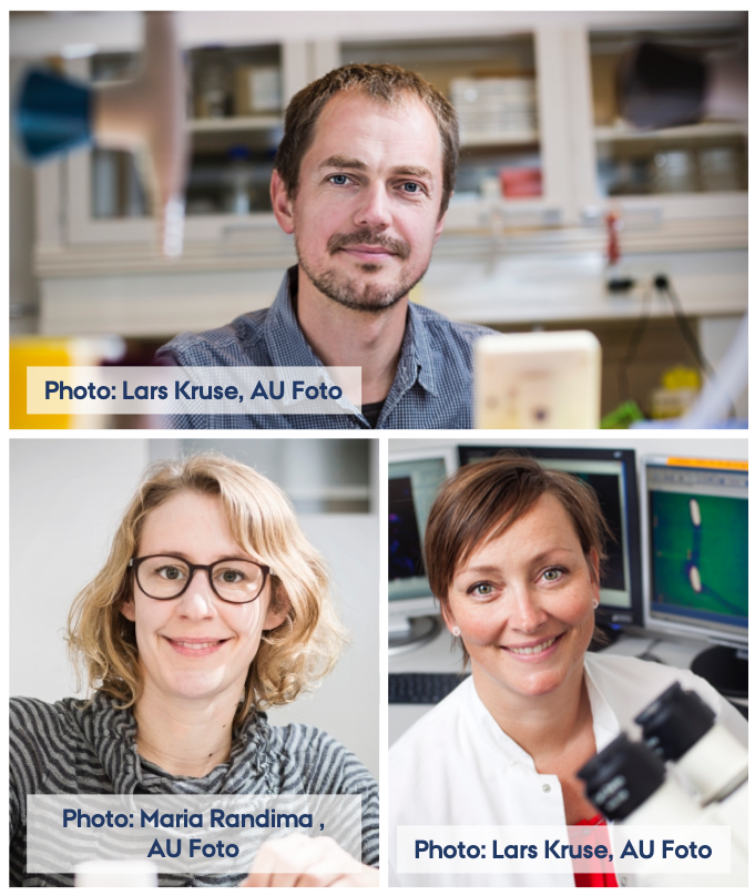 Associate Professors, Alexander Zelikin, Nina Lock and Rikke Louise Meyer have collaborated on expanding the so far narrow range of nanozymes greatly and with a novel scope of substrate. (Photo: Lars Kruse and Maria Randima, AU Foto)