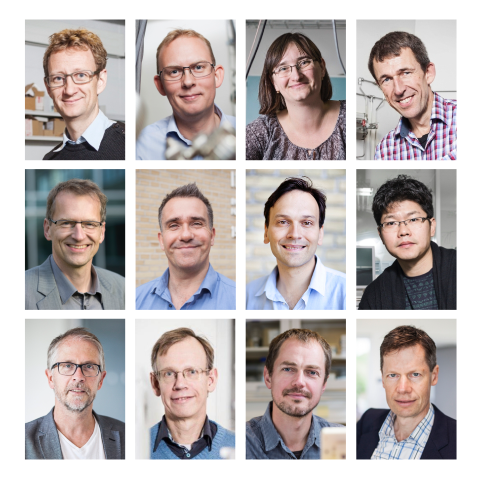 12 iNANO affiliated researchers receive DKK 44 million from Independent Research Fund Denmark for research within drug targeting, magnetogenetics, improved batteries for storage of energy from renewable energy sources, improved immunotherapy, strong rever
