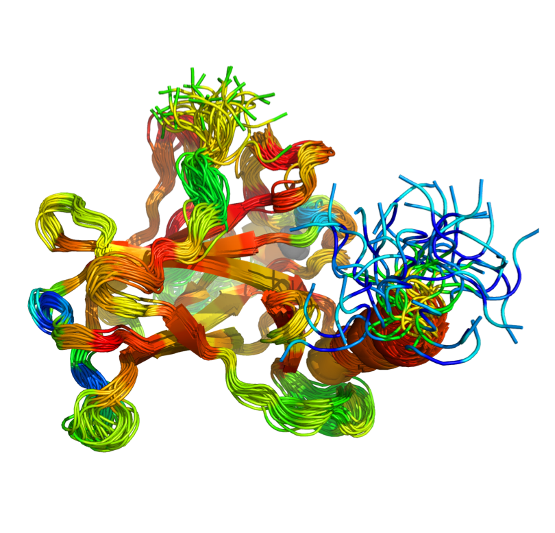AU researchers Jakob T. NIelsen and Frans Mulder present benchmark for testing protein disorder prediction programmes. NMR ensemble structure for the core domain of the protein p53 colored according to CheZOD Z-scores. (Image: Jakob Toudahl and Frans Muld