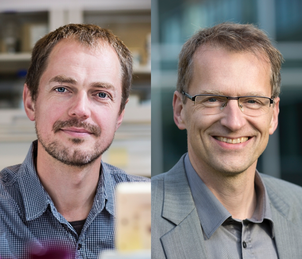 Alexander Zelikin and Kim Daasbjerg are among this year's recipients of VILLUM Experiment grants. (Photos: Lars Kruse, AU Photo)