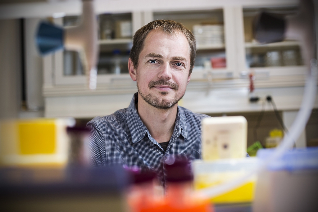 Alexander Zelikin receives 13.5m from Novo Nordisk Foundation for signalling and internalising receptor mimics. (Photo: Lars Kruse, AU Photo)