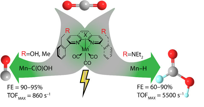 Controlled CO2 reduction to either CO or formic acid dependent on the catalyst design. (Graphics: Copyright © 2020, Journal of the American Chemical Society)