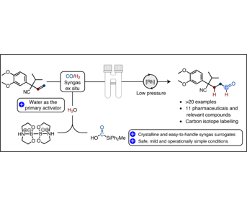 In a paper recently published in the highly ranked journal, Nature Catalysis, Skrydstrup Group reports on a safe, simple and highly efficient method for producing aldehydes via hydroformylation in a two-chamber reactor. (Image:  Nature Catalysis 2020, DOI