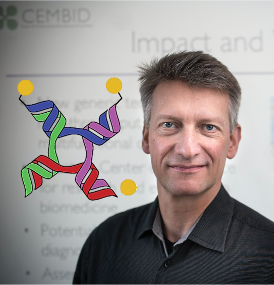 Professor Kurt Gothelf is head of the Center for Multifunctional Biomolecular Drug Design (CEMBID) at Aarhus University, which is funded by the Novo Nordisk Foundation. (Photo: Lars Kruse, AU Photo)