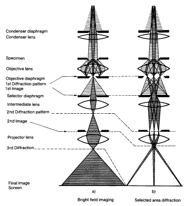 Figure1. Schematic presentation of a transmission electron microscope.