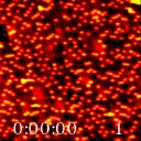Oxygen-mediated diffusion of oxygen vacancies on the TiO2(110) surface (3,04 Mb). 27 °C, 8.6 s/image.