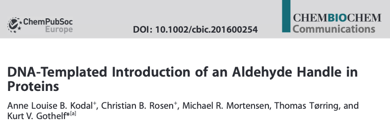 Screenshot from the article DNA-templated introduction of an aldehyde handle in proteins published in ChemBioChem