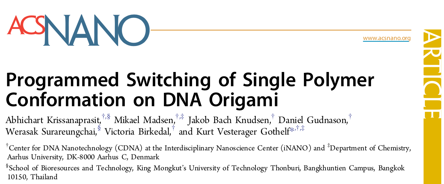 Screenshot from the article "Programmed switching of single polymer conformation on DNA origami" published in ACS Nano
