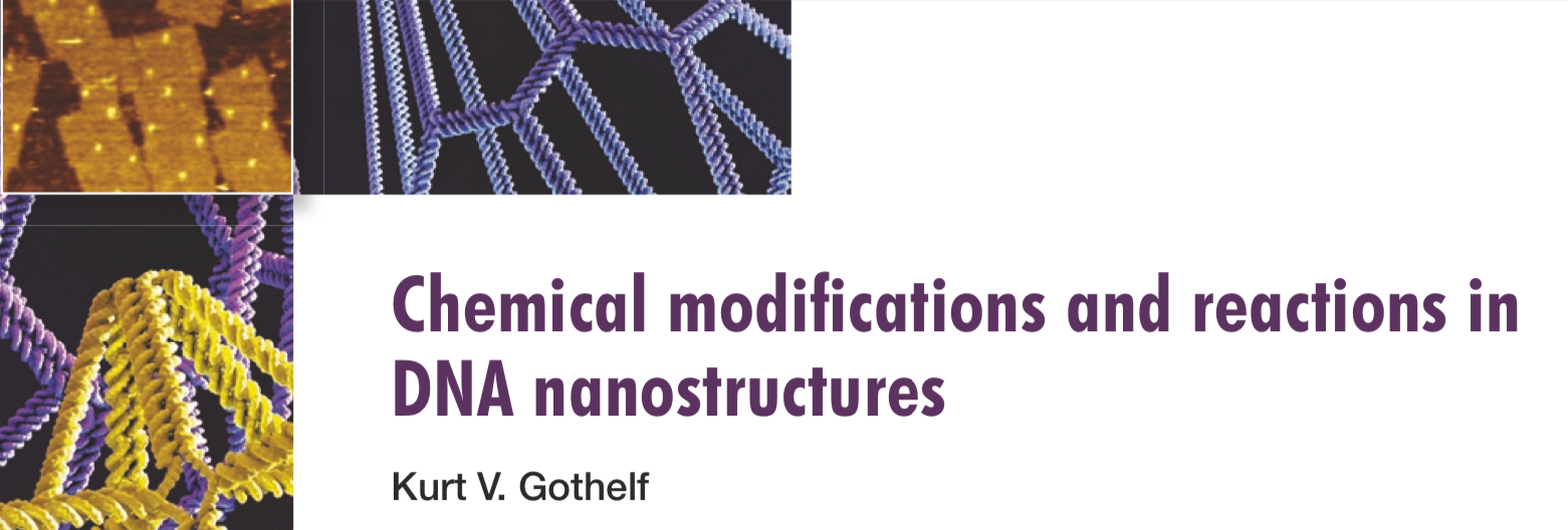 Screenshot of the article "Chemical modifications and reactions in DNA nanostructures" in MRS Bulletin