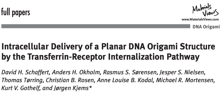 Screenshot of the article "Intracellular delivery of a planar DNA origami structure by the transferrin-receptor internalization pathway" published in Small