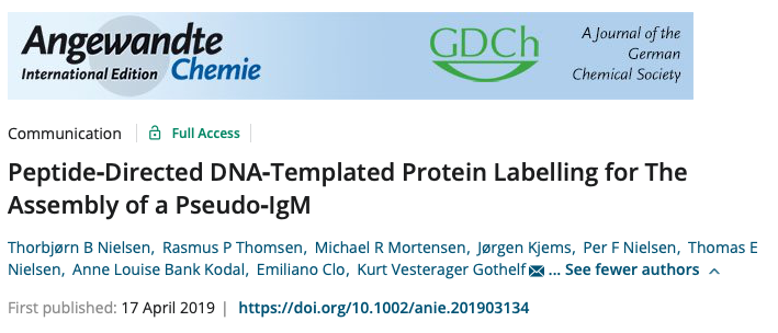 Screenshot of the article Peptide?Directed DNA?Templated Protein Labelling for The Assembly of a Pseudo?IgM published in Angewandte Chemie International Edition