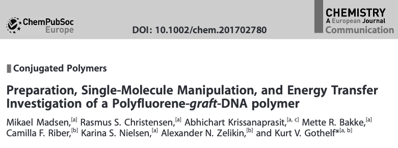 Screenshot of the article "Preparation, single-molecule manipulation, and energy transfer investigation of a polyfluorenen-graft-DNA polymer" published in Chemistry A European Journal