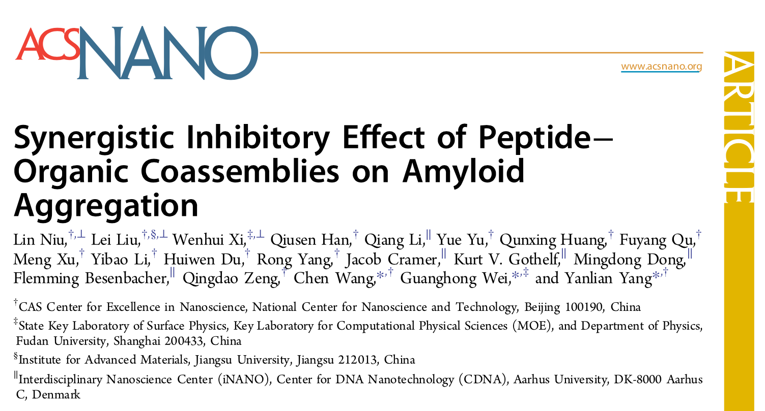Screenshot of the article "Synergistic inhibitory effect of peptide-organic coassemblies on amyloid aggregation" published in ACS Nano