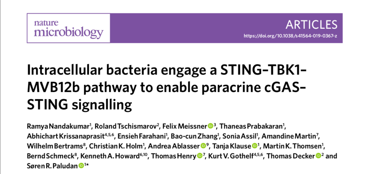 Screenshot of the article frontpage of "Intracellular bacteria engage a STRING-TBK1-MVB12b pathway to enable paracrine cGAS-STRING signalling" published in Nature Microbiology.