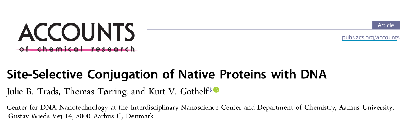 Screenshot of the article "Site-selective conjugation of native proteins with DNA" published in Accounts of chemical research